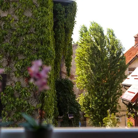 Appartement Center Flats - Unirii Square *